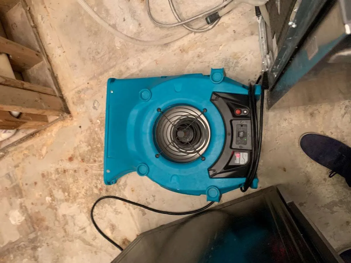 Air mover drying equipment for Mold Remediation & Removal in Steamboat Springs